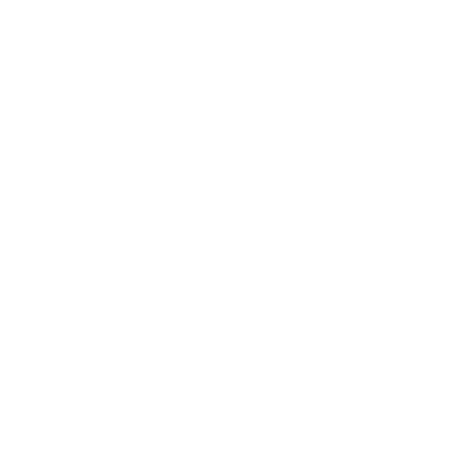 IDN logo